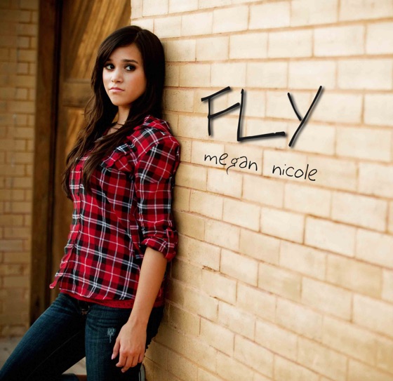 Cover artwork for Fly