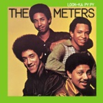 The Meters - Rigor Mortis