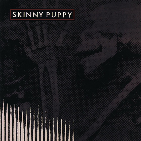 Cover artwork for Glass Houses