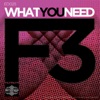 What You Need - EP