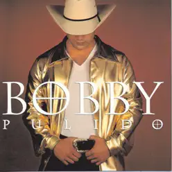 Llegaste a Mi Vida - Bobby Pulido