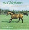 Ballad Of The Irish Horse