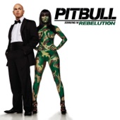 Pitbull Starring In Rebelution artwork