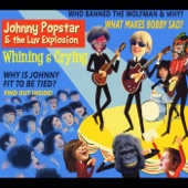 Johnny Popstar & The Luv Explosion - Don't Ban the Wolfman