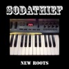 New Roots - Single