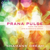 Prana Pulse artwork
