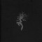 Bleed That Rock (feat. William Ryan Fritch) - Vieo Abiungo lyrics