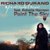 Stream & download Paint the Sky (feat. Roberta Harrison) - EP