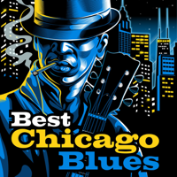 Various Artists - Best Chicago Blues artwork