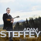 Adam Steffey - New Five Cent Piece