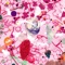 Crumb Tray - Leverton Fox lyrics