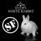 White Rabbit (Soundfactory Club Mix) - Latin Headhuntrz lyrics