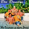 Mit dir hinaus an unseren Strand - Single