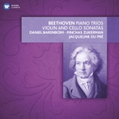 Beethoven: Piano Trios, Violin & Cello Sonatas artwork