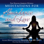 The Healing Journey Within: Meditations for Abundance and Love, Vol. I (Deserving) artwork