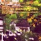 Avatar - Genesis P-Orridge lyrics