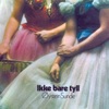 Øystein Sunde - Yrkesveilederblues