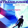 Surfen aufm Baggersee (Surfin U.S.A.) - Single