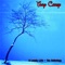 Cold War Kids - Tony Carey lyrics