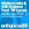 Arctic Kiss (Andy Duguid Remix) - Motionchild & Will Holland lyrics
