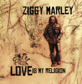 Beach In Hawaii - Ziggy Marley song art