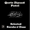 Selected Surahs & Duas, 2013
