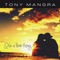 Let Me Feel Your Love - Tony Mangra lyrics