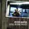 Be Etc. - Peter Mayer lyrics