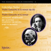 Violin Concerto in G Minor, Op. 80: II. Andante semplice – Andantino artwork