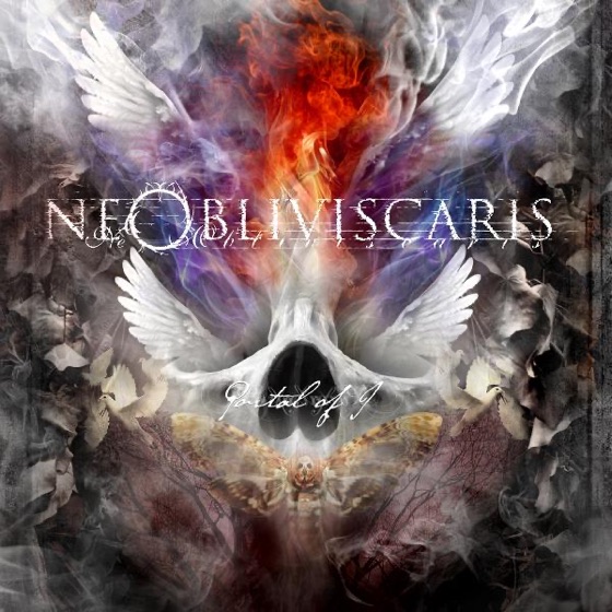 Cover artwork for Xenoflux