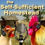 Self-Sufficient Homestead - Surviving Civilization on the Homestead cover