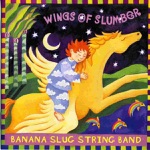 Banana Slug String Band - This Little Island