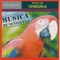 Lluvia - Grupo Raíces de Venezuela lyrics