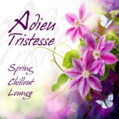 Adieu tristesse (Spring Chillout Lounge) artwork