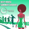 Deep House Summer Grooves, 2013