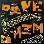 Pavement - The Killing Moon