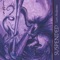 Salsa Brava - Lori Andrews lyrics