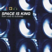 Space Is King (From Dub to Dubstep) artwork