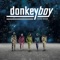 Silver Moon - Donkeyboy lyrics