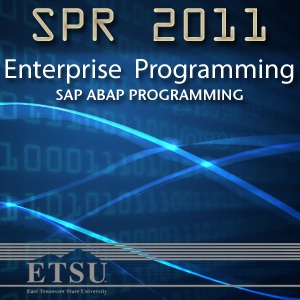 Enterprise Programming -- SAP ABAP Programming  Spring 2013 cover