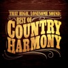 Best of Country Harmony, 2013