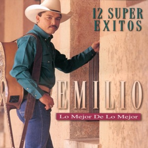 Lo Mejor de lo Mejor 12 Super Éxitos