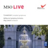Oleg Caetani, Lucia Aliberti, Orchestra Sinfonica di Milano Giuseppe Verdi & Coro Sinfonica di Milano Giuseppe Verdi - Symphony No. 4 in F Minor, Op. 36: III. Scherzo (Pizzicato ostinato – Allegro)