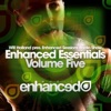 Enhanced Essentials, Vol. Five