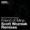 Friend of Mine : The Scott Wozniak Remixes