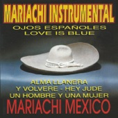 Mariachi Instrumental artwork
