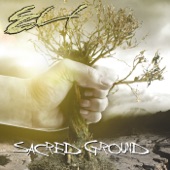 Sacred Ground artwork