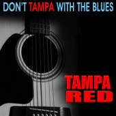 Don’t Tampa With the Blues artwork
