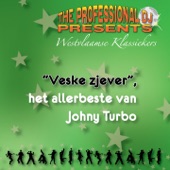 The Professional DJ presents (Westvlaamse klassiekers - Veske zjever, het allerbeste van Johny Turbo) artwork