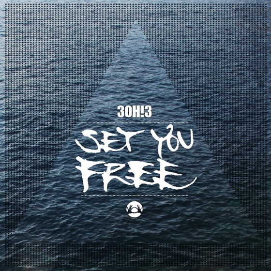 Cover artwork for Set You Free